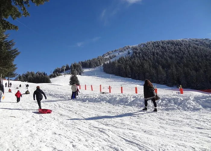 オーベルジュ ラ スラン ブトゥー