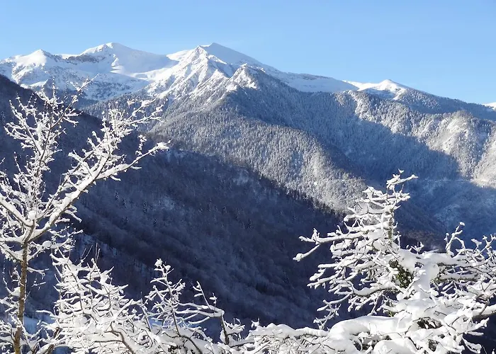 オーベルジュ ラ スラン ホテル 3*
